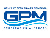 Logo Grupo Profesionales de México - Expertos en Albercas