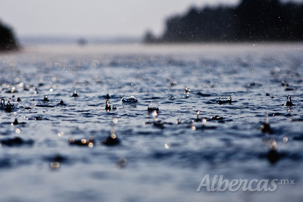 Llena tu alberca con agua de lluvia y nada con toda confianza