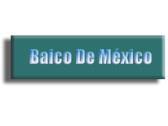 Baico de México S.A de C.V.