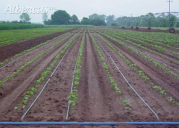 Agrosistemas Irrigación