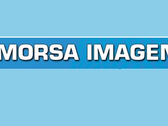 Morsa Imagen