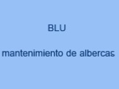 Blu Mantenimiento De Albercas