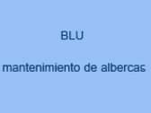 Blu Mantenimiento De Albercas 