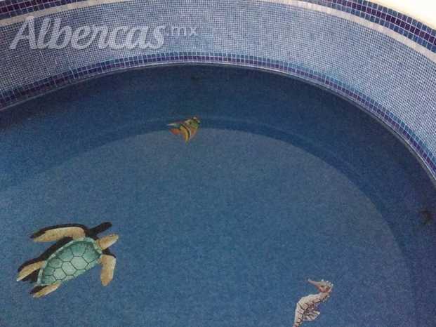 Cuidamos la apariencia del agua de tu piscina