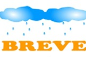 Breve  Breceda`s Company