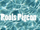 Pools Pigeon