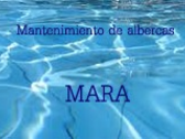 Mantenimiento De Albercas Mara