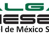 Alga Diesel De México