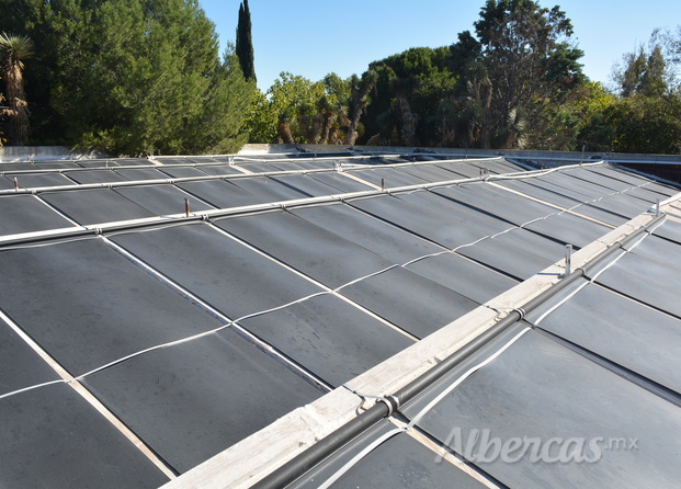 300 Colectores Solares para alberca olimpica