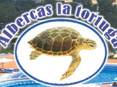 Albercas La Tortuga