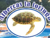 Albercas La Tortuga 