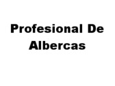 Profesional De Albercas
